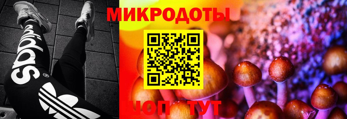Псилоцибиновые грибы мухоморы Пермь