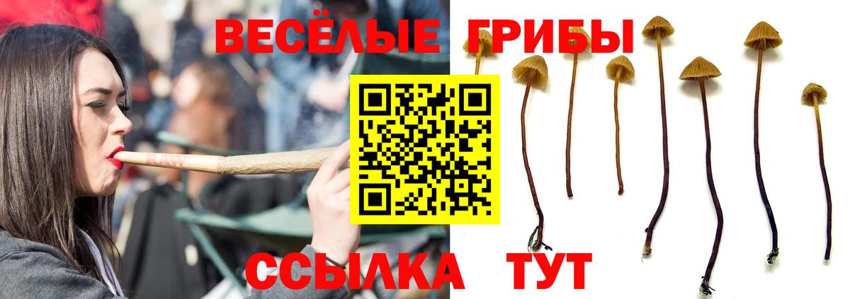 Псилоцибиновые грибы ЛСД  Вход с VPN  Псилоцибиновые грибы MAGIC MUSHROOMS  Пермь 